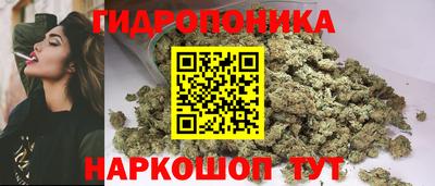 шишки Славгород