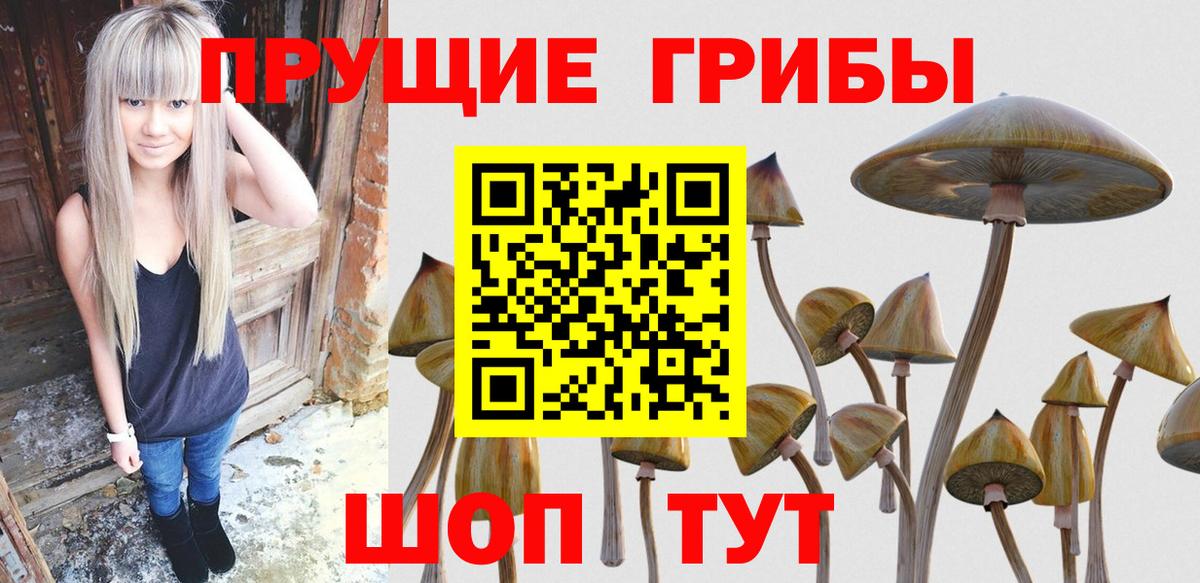Галлюциногенные грибы Cubensis Орехово-Зуево