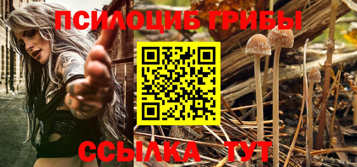 Галлюциногенные грибы прущие грибы  Вход с VPN  Псилоцибиновые грибы Cubensis  Орехово-Зуево 